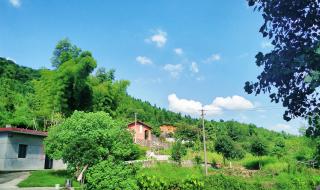 谁知道江西抚州临川区有多少人口 江西省抚州市临川区